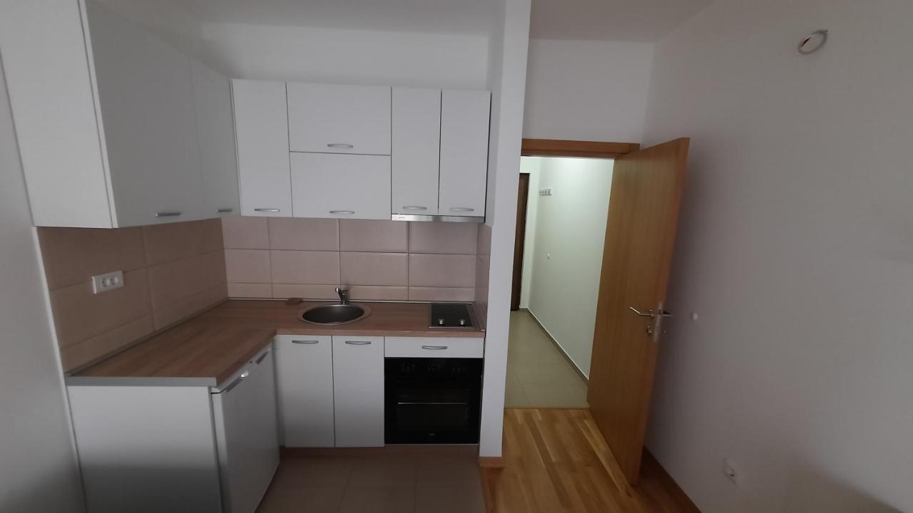 Apartman Seka Apartment Podgoriţa Exterior foto